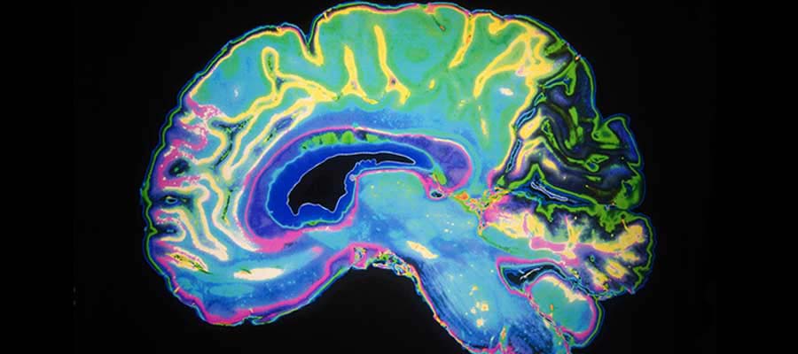 MRI Certification Program for Radiologic Technologist_