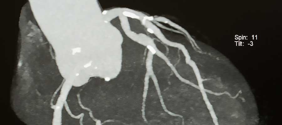 body mri courses online