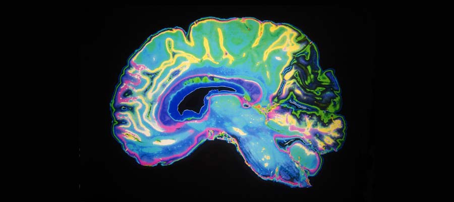 MRI Certification Program for Radiologic Technologist_